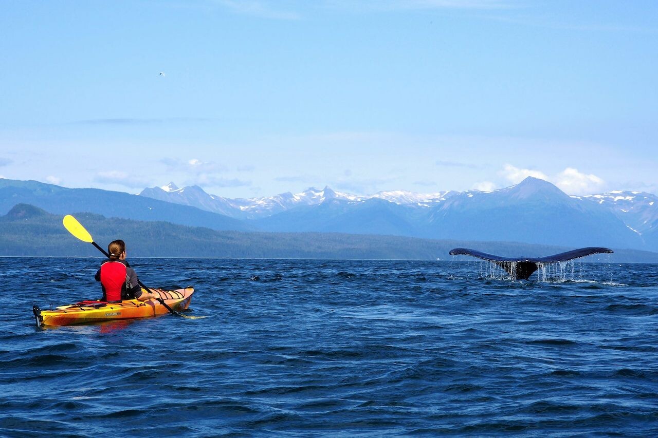 OutdoorVisit - Jana Tylová s velrybou na Aljašce
